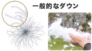 一般的なダウン 一般的なダウン